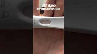 12 DPO Pregnancy Test ttc infertility [upl. by Ebarta761]