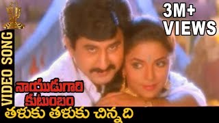 Taluku Thaluku Chinnadi Video Song  Naidugari kutumbam Telugu Movie  Suman  Swarna [upl. by Cis]