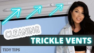 HOW TO CLEAN TRICKLE VENT CLEANING UPVC WINDOW VENTS  HAYLEYS TIDY TIPS [upl. by Eenolem]