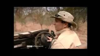 Kruger National Park Elephant culling [upl. by Kcirtap]