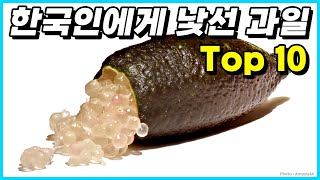 대부분의 한국인들이 접하기 힘든 생소한 과일 Top 10 [upl. by Adal]