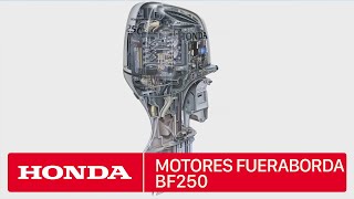 Motor Fueraborda Honda BF250 [upl. by Anitsahs924]