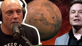 Elon Musk Will Owne Mars  Joe Rogan [upl. by Westphal467]