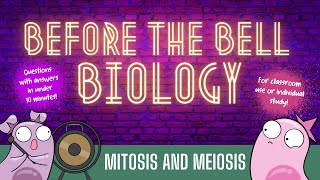 Mitosis and Meiosis Before the Bell Biology [upl. by Ruomyes111]