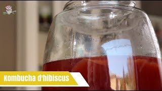 La meilleure recette de Kombucha dHibiscus de CRUsine Académie [upl. by Close]