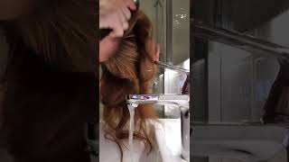 The main ingredience of video RED Hair ASMR Shampooing [upl. by Norb]