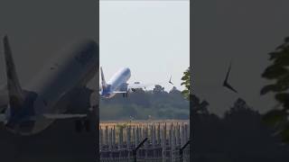 SUNEXPRESS  BOEING B737MAX8  TAKEOFF  FRANKFURT AM MAIN INTERNATIONAL AIRPORT EDDFFRA [upl. by Katleen]