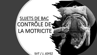 SUJETS BAC MOTRICITÉ 1 [upl. by Moser]