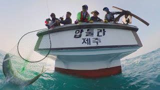 제주도 절명 대부시리 117센티  빅게임지깅  압둘라호  NS 블랙홀 보카 S531 [upl. by Ellenoj]