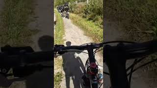 Winterberg 2024 mtb bikelife downhill fahrrad [upl. by Serolod]