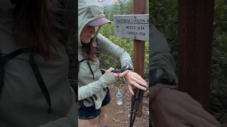 Starting my women’s unsupported fastest known time attempt of the Oregon PCT [upl. by Dranoel336]