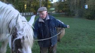 Emile et ses chevaux boulonnais [upl. by Storm]