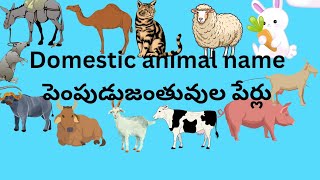 Domestic animals name పెంపుడు జంతువుల పేర్లు పెంచుకునే జంతువులు pets animals జంతువులు [upl. by Cyndy]