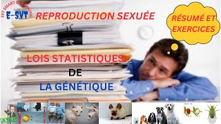 Génétique formelle  Résumé et exercices [upl. by Vookles]