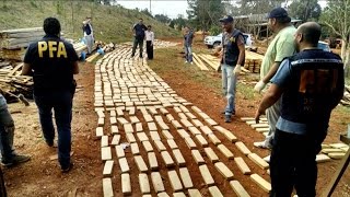 Desbarataron dos bandas que traficaban drogas desde Jujuy y Misiones [upl. by Rodmann589]