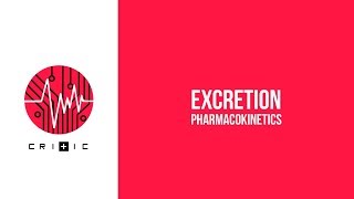 Excretion  The Pharmacokinetics Series [upl. by Kizzee242]