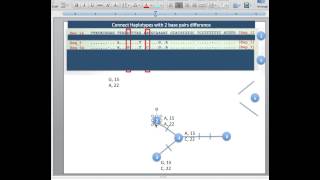 10 Dec Haplotype Networks Reading Guide [upl. by Nnel124]