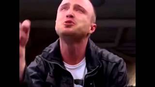 Jesse Pinkman  Bitch Song [upl. by Georgi451]