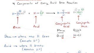 Acids and Bases  The 4 Components of Every Acid Base Reaction [upl. by Hartzel]