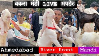 बकरा मंडी LIVE अपडेट अहमदाबाद River front Bakra Mandi 6 October On Sunday  arsgoats viralvideo [upl. by Yelkcub]