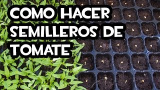 Como hacer Semilleros de Tomate  Muy fácil 🍅 [upl. by Hardi]