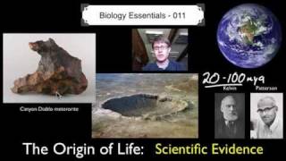 The Origin of Life  Scientific Evidence [upl. by Aleda]