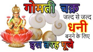 सिर्फ रु१० गोमती चक्र से बेहद चमत्कारी धन लाभ  How to Become RICH with GOMTI CHAKRA [upl. by Teage767]