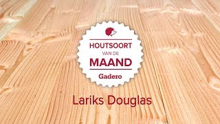 Houtsoort van de maand  Lariks Douglas hout [upl. by Morten]