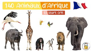 140 Animaux DAfrique En Français  Les Cris Des Animaux Et Les Noms Des Animaux Pour Les Enfants [upl. by Madora]