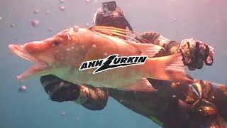 AHHLURKIN ARCHIVES  Deep Dive  S01E05 [upl. by Selij89]