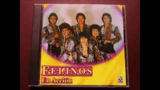 Los Felinos Testigo [upl. by Goar]