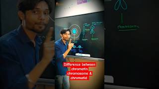 What is the difference between chromatin chromosome amp chromatid 🔥😎 biology cbse k2institute [upl. by Aisaim893]