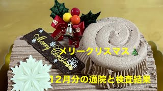 【通院】【検査結果】メリークリスマス🎄からの12月の通院と血液検査について 40代 膠原病 難病 [upl. by Elicul]