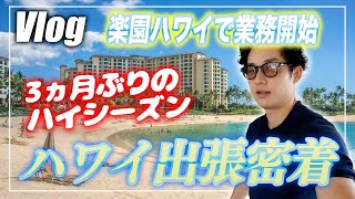 【会計士VLOG】仕事×勉強×トレーニング×遊びの独立会計士ルーティーン【公認会計士小山あきひろ】 [upl. by Trinette]