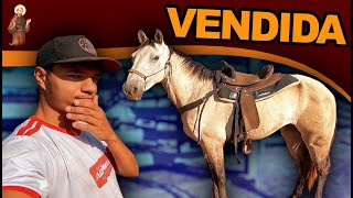 Tivemos Que vender a Égua [upl. by Friedberg]