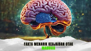 Keajaiban Otak Manusia  Menjelajahi Fakta Unik yang Membuat Kita Terpesona [upl. by Britteny]