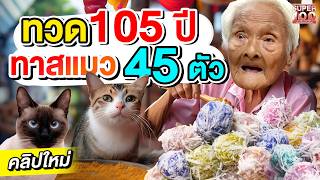 น่ารักไม่ไหว ความฝันของทวด 105 ปี ขอทุนซื้อข้าวเลี้ยงแมว ยายสงวน ก๋วยเตี๋ยว 5 แผ่นดิน  SUPER100 [upl. by Alathia188]