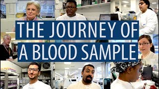 The journey of a blood sample DiscoverPathology [upl. by Emiline329]