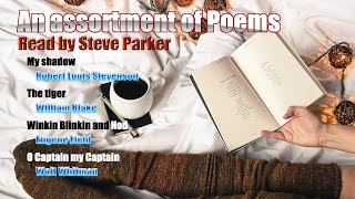 A Poetry Reading [upl. by Shalne]