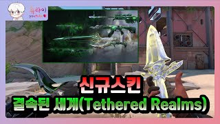 신규스킨 결속된 세계Tethered Realms 소개영상 l 발로란트 츄라이 [upl. by Somar]