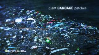 Marine Pollution [upl. by Ragg]