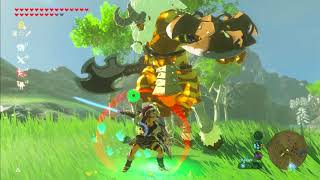 Barbarian Armor Link VS Gold Lynel  Zelda Breath of the Wild Master Mode [upl. by Lael]