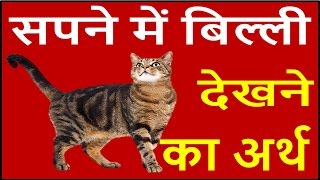 यदि सपने में बिल्ली दिखाई दें तो जाने इसका अर्थ Cat Dream Meaning interpretation in hindi [upl. by Brackely]