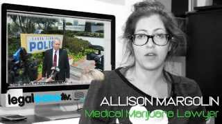 The Dopest Attorney Report  Allison Margolin  criminal defense attorney los angeles [upl. by Harad]