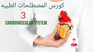 مصطلحات طبيه  الجهاز الدوري  3  Medical terminology of the cardiovascular system [upl. by Novah]