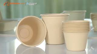 bagasse product Disposable Compostable Sugarcane Bagasse Clamshell Lunch Bento Food Container Box [upl. by Ainnek]