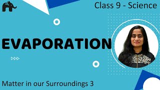 Evaporation Cooling Effect  Matter in our Surroundings 3  Class 9 Science [upl. by Nyltac175]