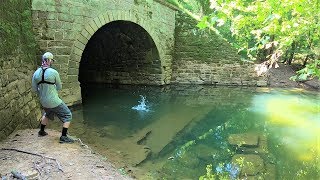 CREEK Fishing in a TUNNEL for ANYTHING That Will Bite [upl. by Sheppard43]