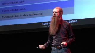 Seeking immortality Aubrey de Grey at TEDxSalford [upl. by Maggee910]