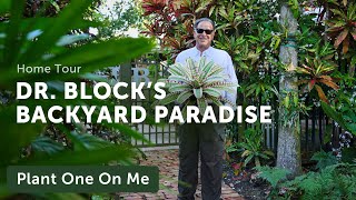 Doc Blocks TROPICAL BACKYARD Paradise Tour — Ep 301 [upl. by Ahsiekan736]